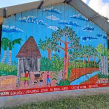 Finished mural on school wall at Brillo Nuevo