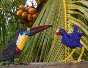 Channel-billed toucan and purple gallinule models
