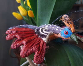 Flying hoatzin ornament
