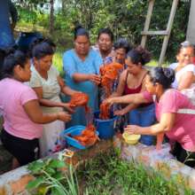 Artisans dyeing rust color chambira for bluebirds