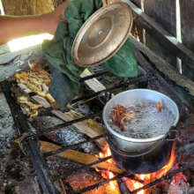 Boiling bark to made a medicinal tea