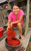 Bora artisan dying chambira fiber with sisa leaves