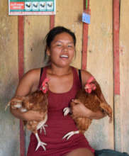 Huitoto woman selling chickens for workshop dinner