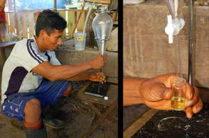 Distilling rosewood essential oil. C. Plowden/CACE