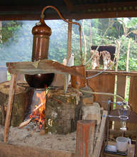 Copper alembique distiller. C. Plowden/CACE