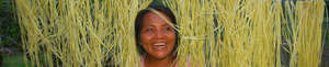 Bora artisan drying chambira (1) Plowden/CACE