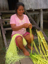 Artisan removing chambira fiber. Plowden/CACE