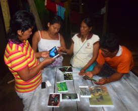 Dora group looking at photos of Amazon insects