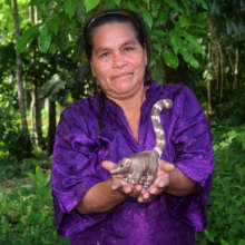Artisan with carved balsa wood coati