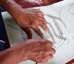 Huitoto artisan drawing tree with vines