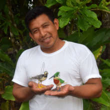 Edson with harpy eagle and kingfisher ornaments