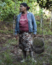 Bora woman in her field with basket and machete