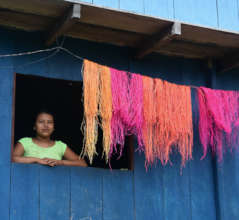 Bora artisan drying dyed chambira palm fiber