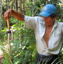 Italo and snake in the forest