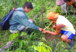 Luke measuring tree seedling with Bora woodsman