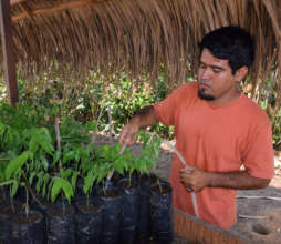 Watering seedlings at Camino Verde nursery