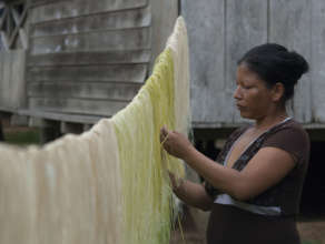 Liria drying chambira fiber before dyeing it