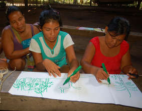 Artisans drawing chambira palms at workshop.
