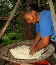 Bora woman straining yucca root mash in basket