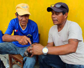 Rider teaching tutuma making / Davila-CACE