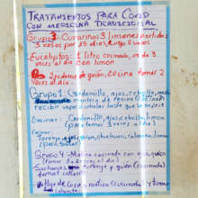 Plant medicines used to treat COVID