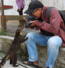 Tulio photographing coati