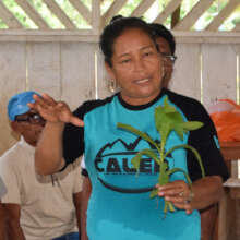 Woman describing use of a medicinal leaf