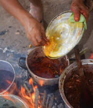 Cooking dye plants for chambira
