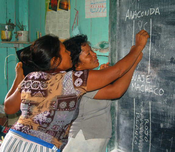 Support native artisans & rainforest in the Amazon