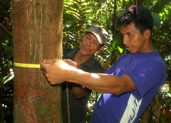 Support native artisans & rainforest in the Amazon