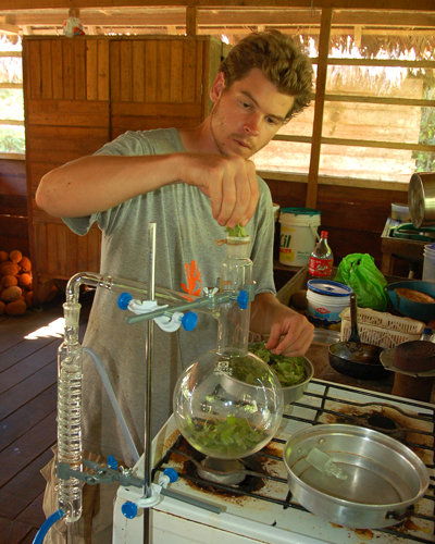 Support native artisans & rainforest in the Amazon