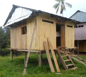 Support native artisans & rainforest in the Amazon