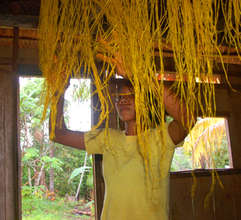 Ocaina artisan hanging chambira palm fiber to dry