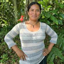 Support native artisans & rainforest in the Amazon