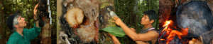 Copal story banner photos