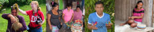 Banner photo for CACE report #26