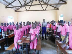 Primary Seven candidates preparing for exams