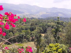 From the hills above Kandy