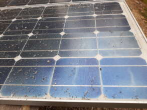 Ash from wildfires, Summer 2021