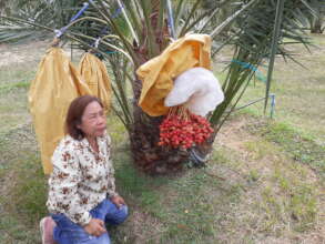 Experimenting with new fruits