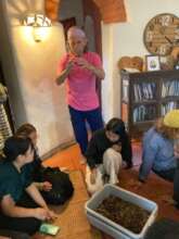 Now how to optimise the bin