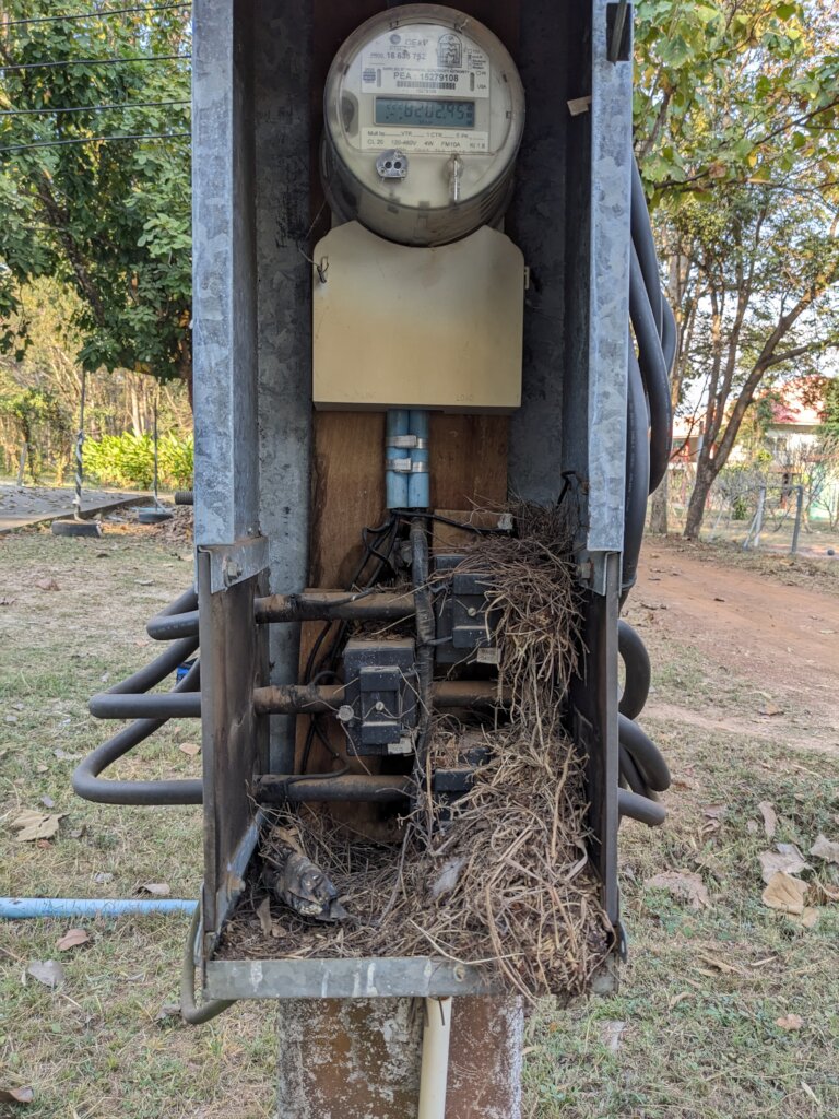 Some deferred maintenance here, I think!