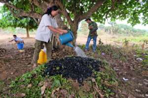 Adding Biochar to compost