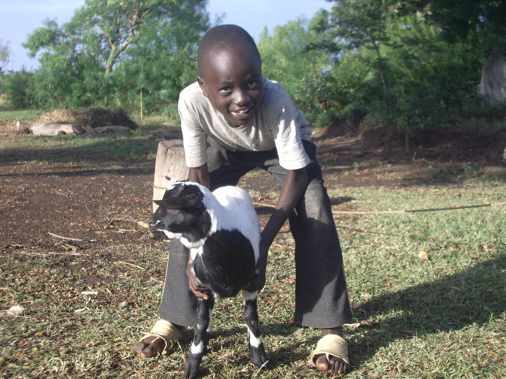 HELP FEED 500 STARVING ORPHANS OF KOGUMA in Kenya