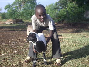 his goat