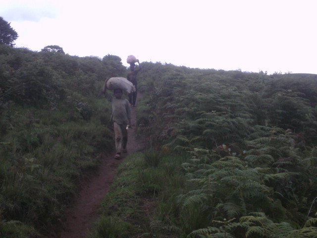 Help 200 women in Cameroon feed & educate children