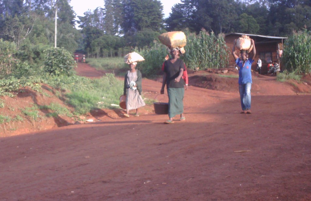 Help 200 women in Cameroon feed & educate children