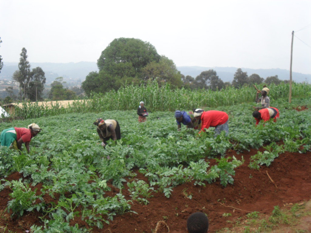 Help 200 women in Cameroon feed & educate children