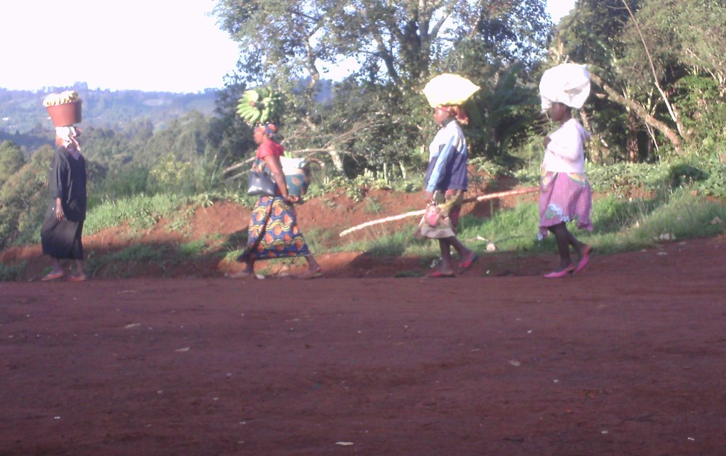 Help 200 women in Cameroon feed & educate children