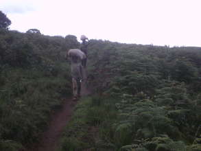 Children returning from the farm